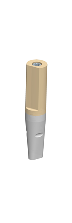 5600247_BG-00