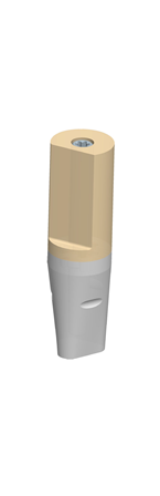5600249_BG-00