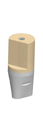 5600253_BG-00