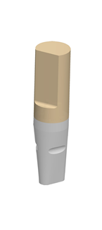 5600256_BG-00