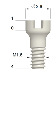 Zirkon Schraube M1,6 x 5,0mm mit Schlitz