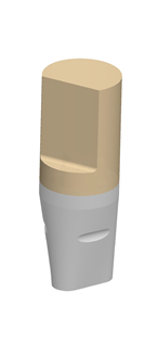 5600259_BG-00