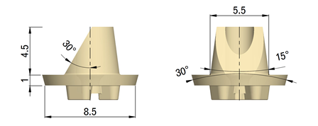 PEEK Planungsbasiselement IM-Oversize